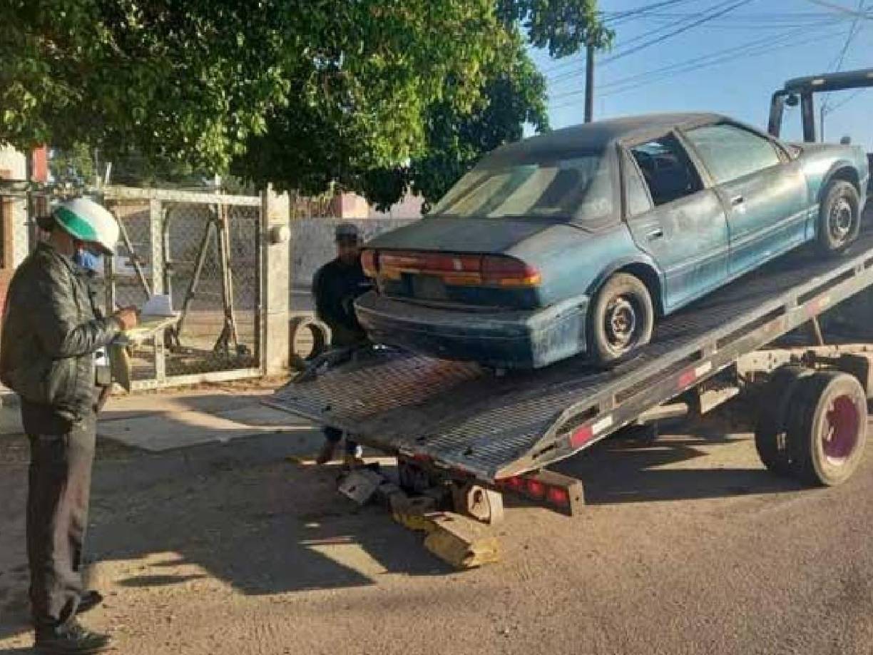 <b>5. </b>La comuna otorga un plazo de 72 horas para que se atienda el llamado, de lo contrario se acude a removerla con grúa.