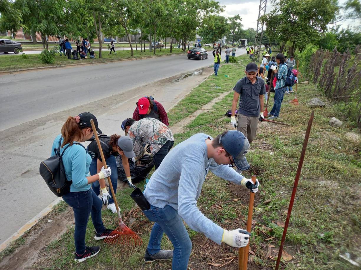 Serán 1,500 árboles de macuelizo los que se sembrarán en la misma zona el siguiente sábado 20 de julio, una labor a la que se sumarán cuadrillas municipales y en esta ocasión estudiantes de la Ceutec.