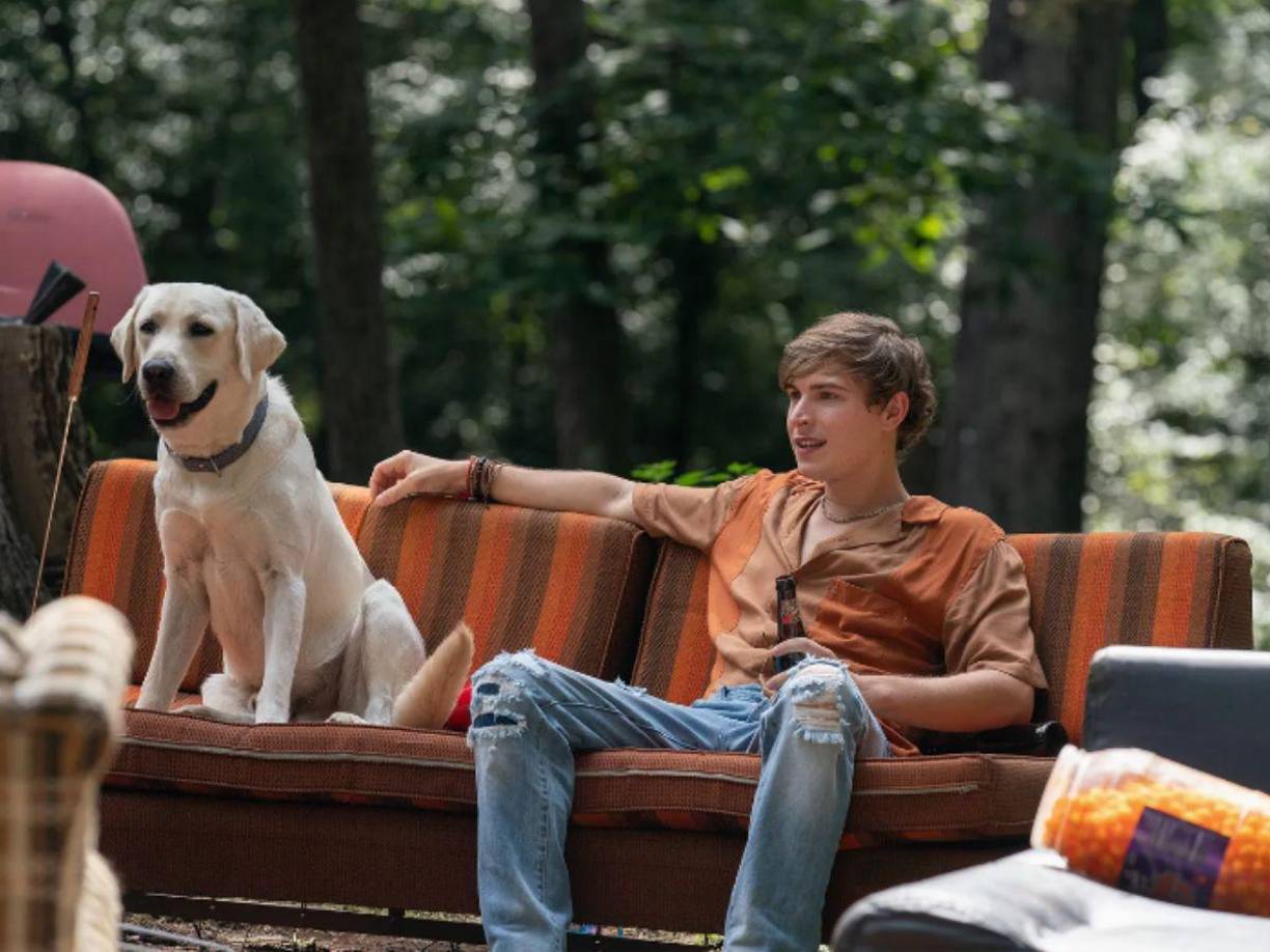 La cinta dirigida por Stephen Herek está inspirada en el libro escrito por Pauls Toutonghi donde relata la historia del perro Gonker (un <b>labrador amarillo</b>, a diferencia de la película que presenta una mezcla de Golden Retriever).