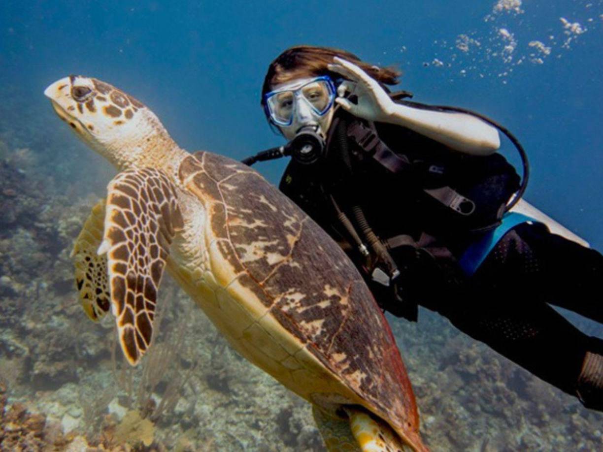 Seguro que habrás oído hablar de las Islas de la Bahía de Honduras. <b>Roatán </b>es la isla más grande de todas ellas y el lugar donde podrás hacer buceo.
