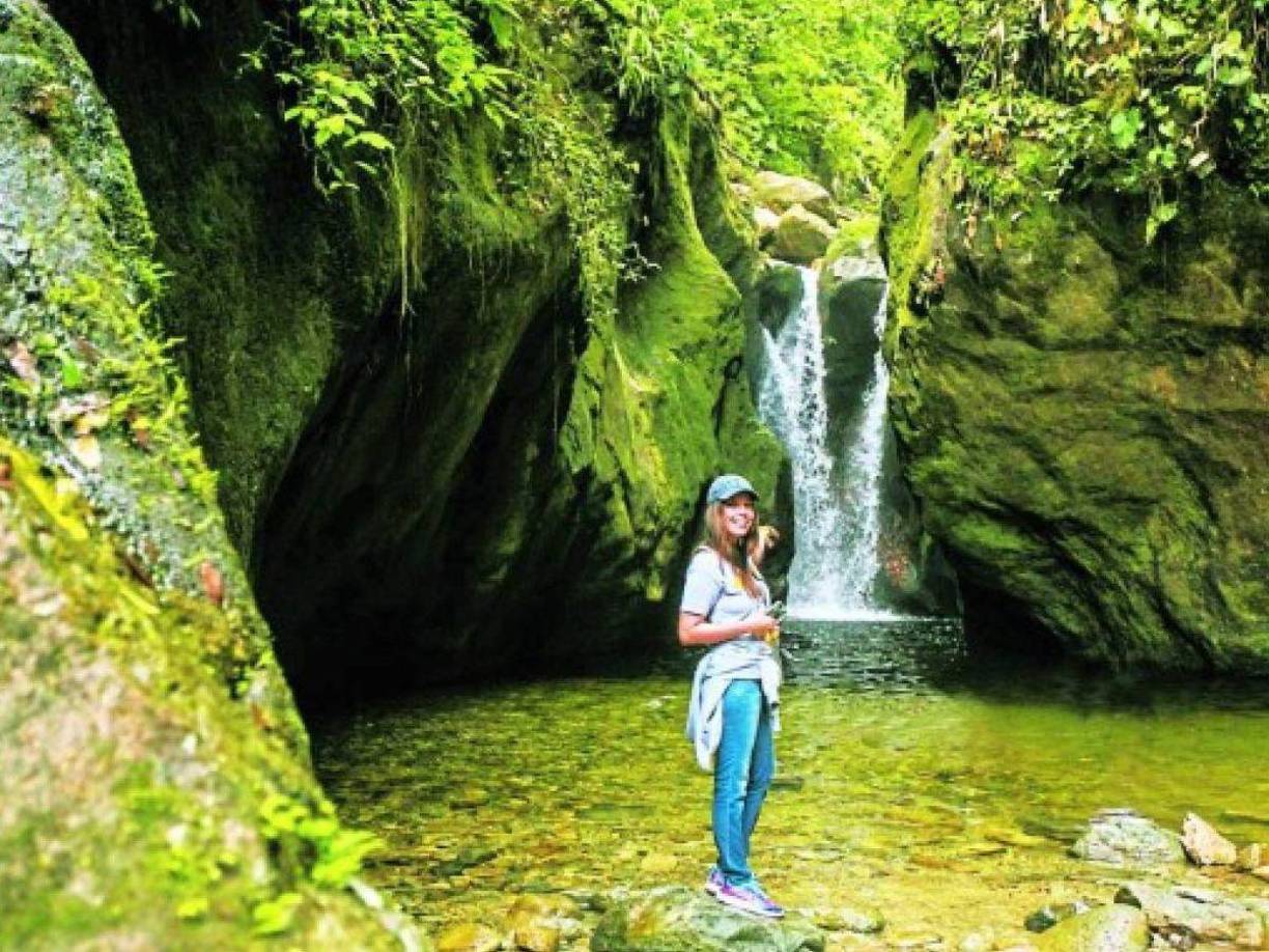 Si te gusta la naturaleza, llegar a Pico Bonito supondrá alcanzar uno de los lugares del planeta con más biodiversidad del mundo<b>. Desde selvas a bosques</b>, el parque natural hondureño ofrece vistas, paisajes y especies únicas en el mundo.