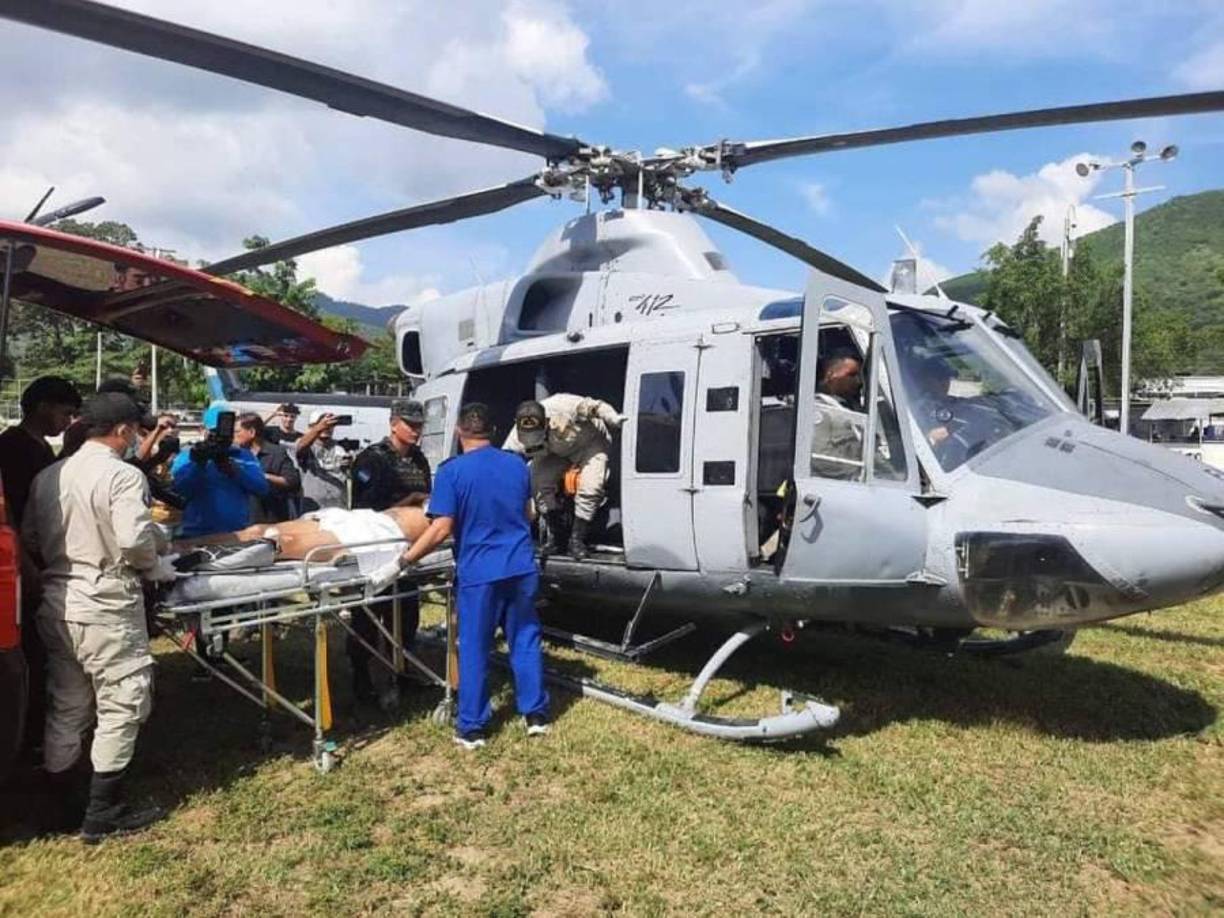 Ahora urge de un tratamiento de un cirujano, pues posee infección en algunas de sus heridas.