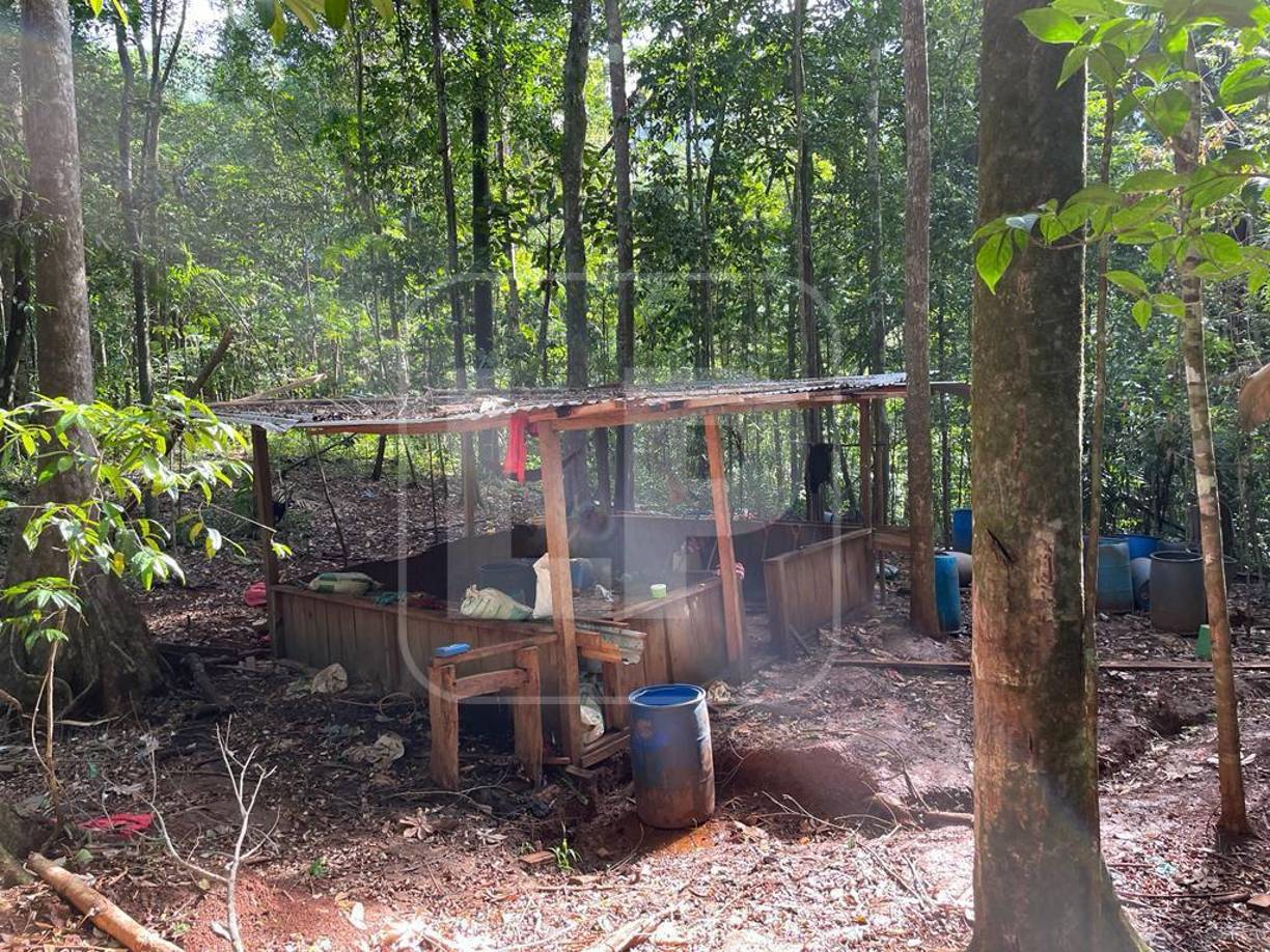 Los narco laboratorios fueron encontrados en una zona boscosa en el sector de Las Minas y Quebrada de los Santos, en el municipio de Iriona. 