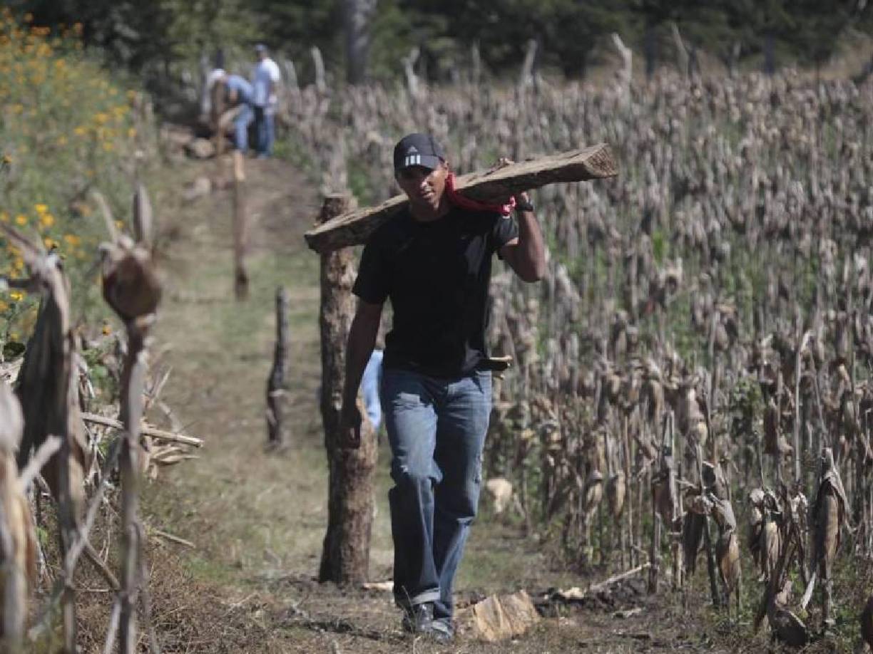 El exportero Donis Escober se dedica a la agricultura y ganadería en su campo en San Ignacio, donde tiene su ganado y siempre ligado al fútbol como preparador de arqueros en las reservas del club merengue.