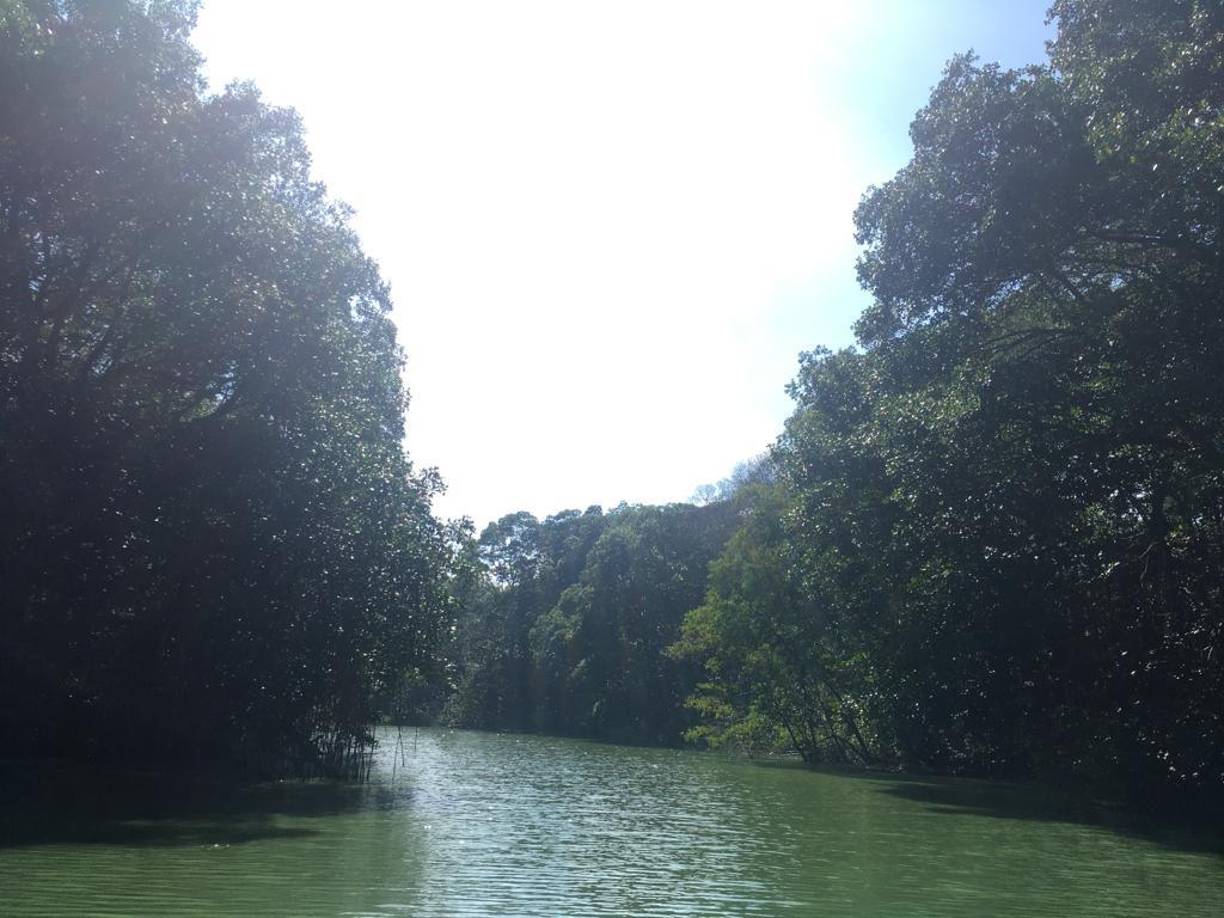 Al visitar este lugar recuerde traer su celular o cámara para capturar sus momentos favoritos. De ser posible, traiga lentes especiales para tomar fotos a larga distancia o binoculares para poder apreciar mejor los animales que aquí habitan.