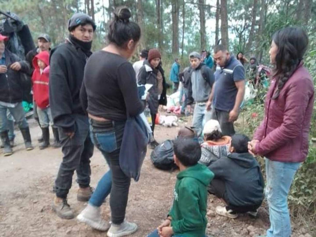 Niños que acompañan a sus padres a la labor de recolección de café en temporada de cosecha también resultaron heridos y con miembros del cuerpo mutilados.