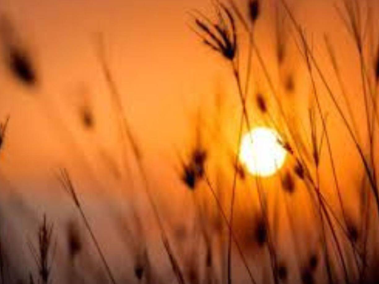 Cabe mencionar que, el solsticio de verano ocurre cada año en junio en el hemisferio norte y en diciembre en el hemisferio sur, es decir, el Sol alcanza su punto más alto de declinación norte o sur en relación con la línea del Ecuador.