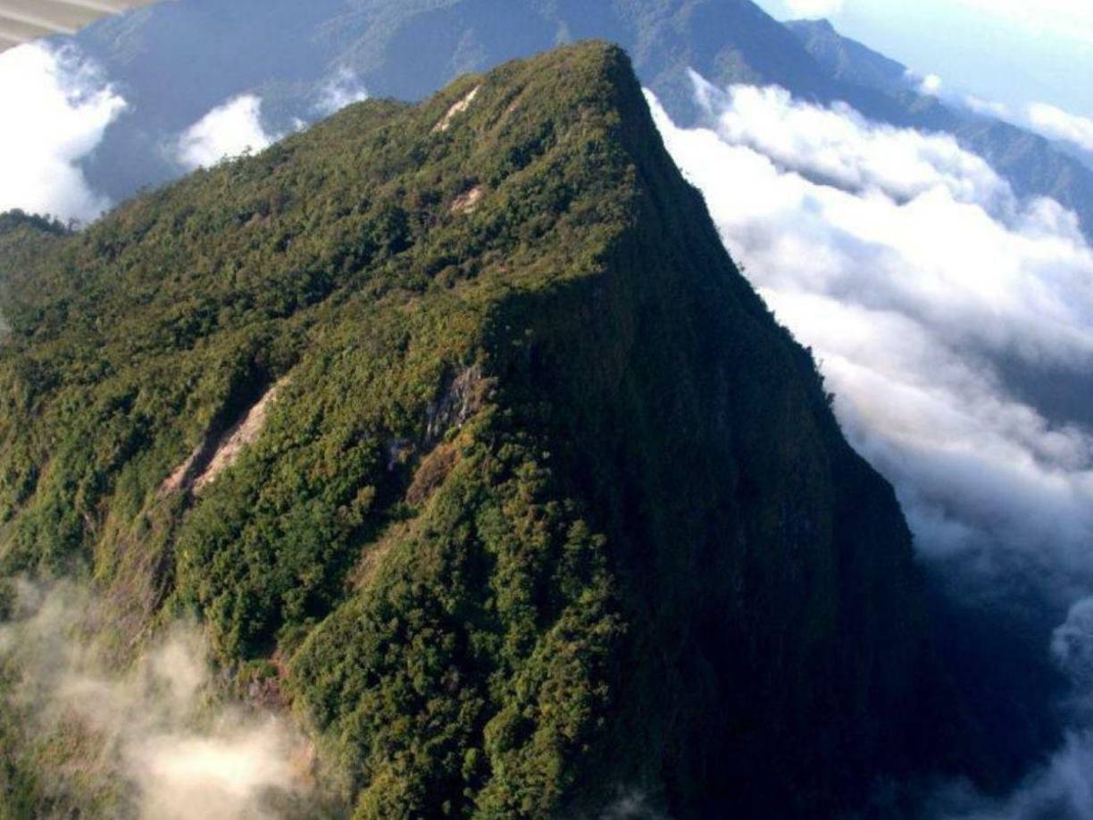 6. El Parque de Pico Bonito