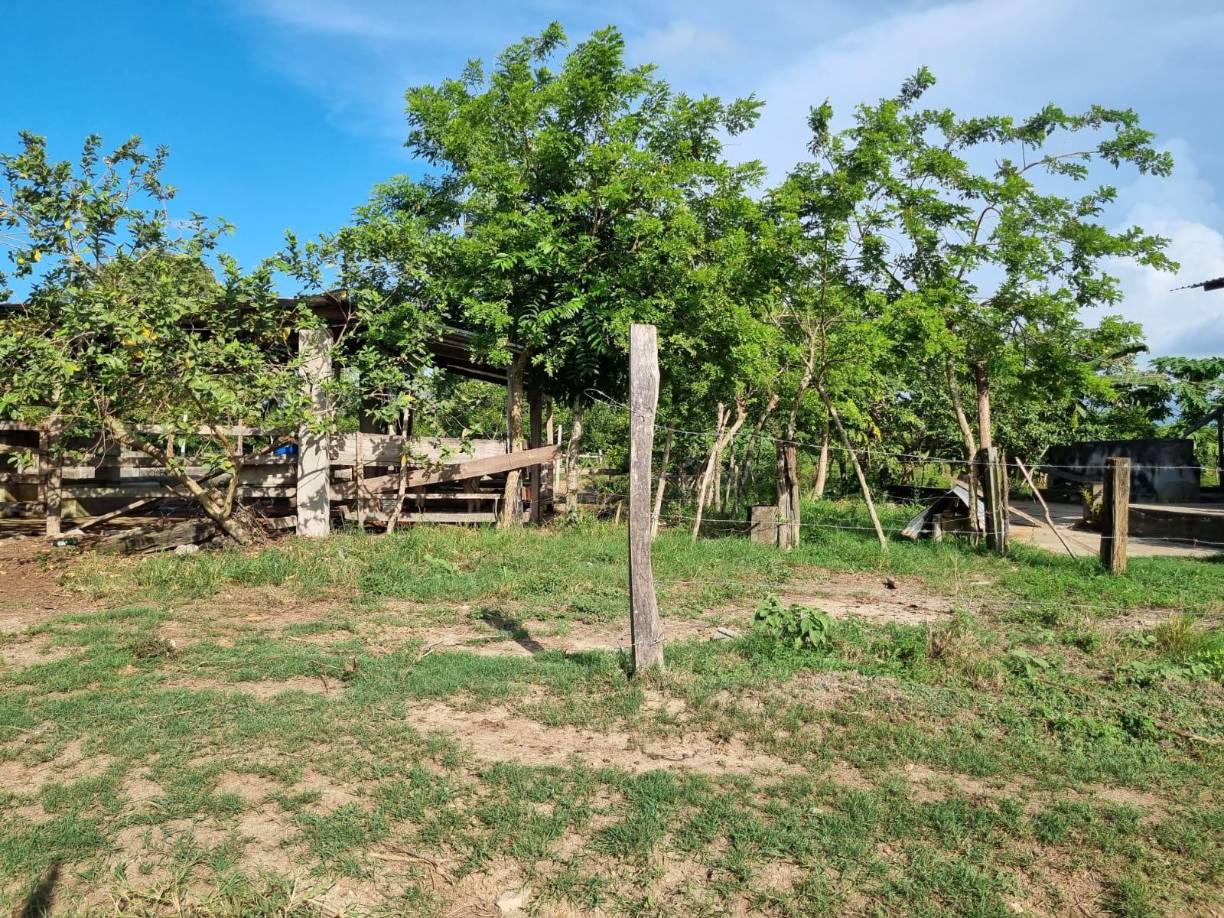 Algunas de las haciendas del Negro Lobo están invadidas mientras que otras quedaron los trabajadores ocupándolas. 