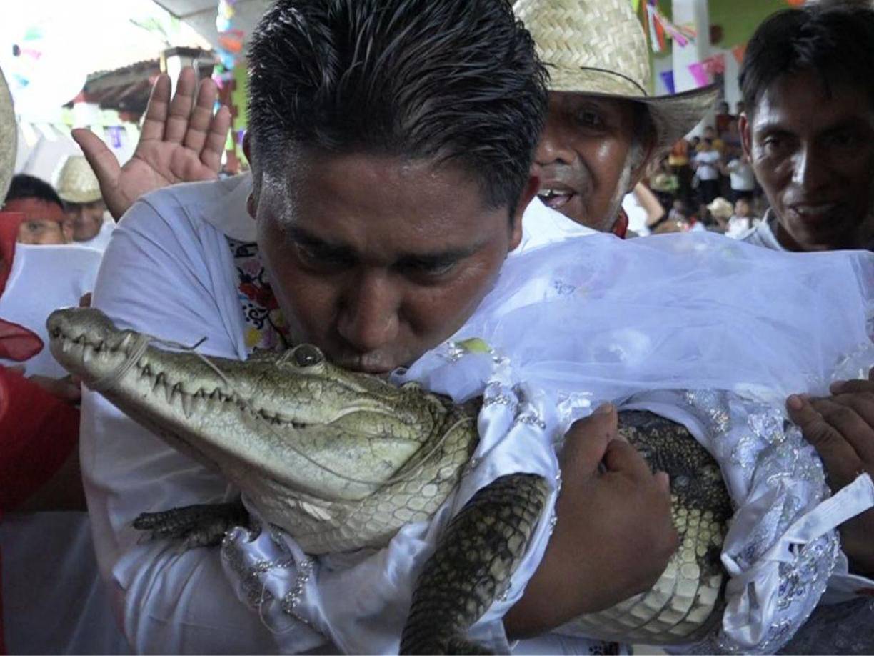 Víctor Hugo Sosa le dio un beso a la caimán hembra Alicia Adriana con quien contrajo nupcias.