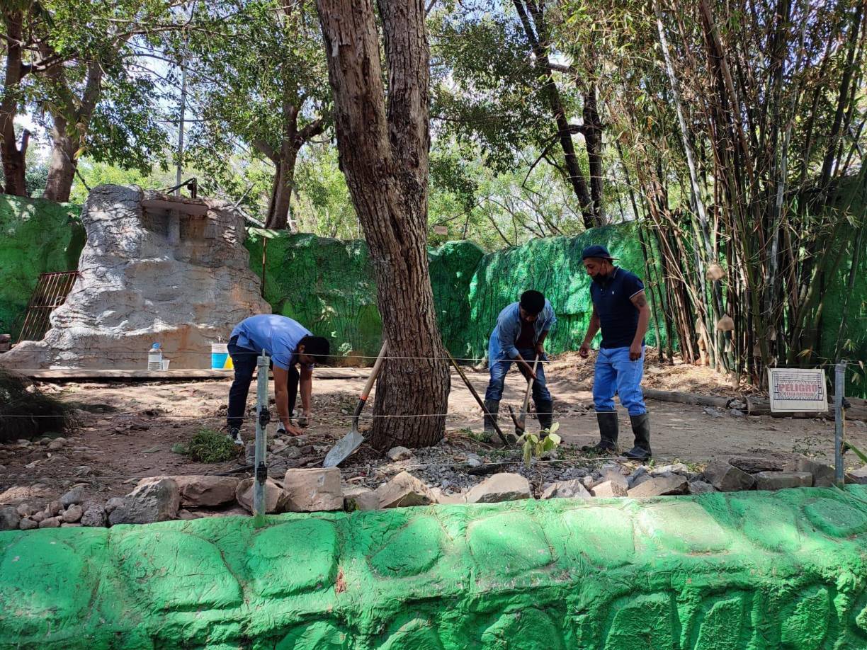 Además de que se gastó en dicho material 48 mil pesos, de los cuales, el sobrante que fue de 17 mil pesos tampoco se ingresó.