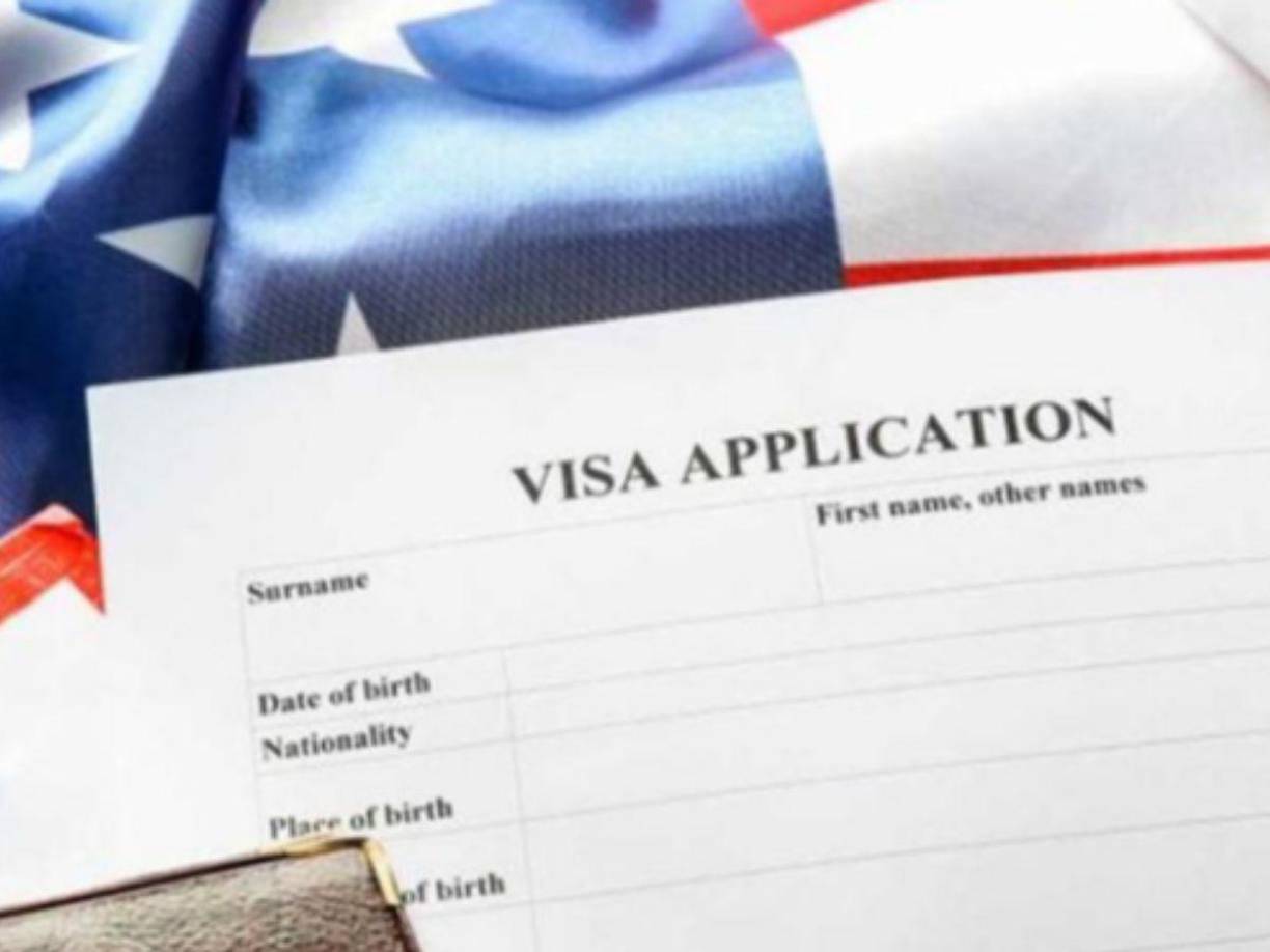 <b>Visas diplomáticas y oficiales:</b> Visa A: Para diplomáticos y funcionarios de gobierno en misión oficial, Visa G: Representantes de organizaciones internacionales como la ONU, OTAN: Miembros de las fuerzas armadas y personal de la OTAN en misiones oficiales.