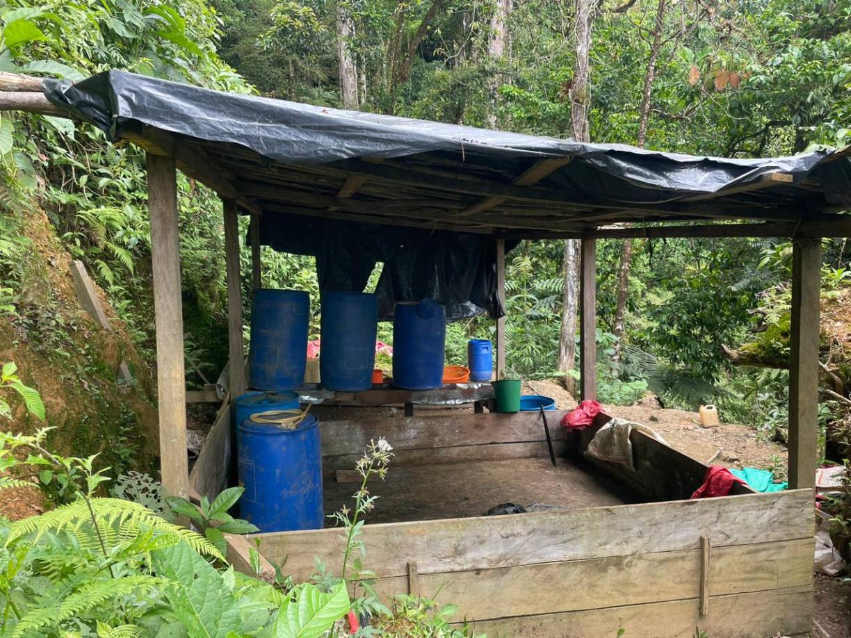 Las Fuerzas Armadas de Honduras reportaron este viernes la ubicación de un narcolaboratorio en una zona alta de Trojes, El Paraíso, oriente de Honduras. 