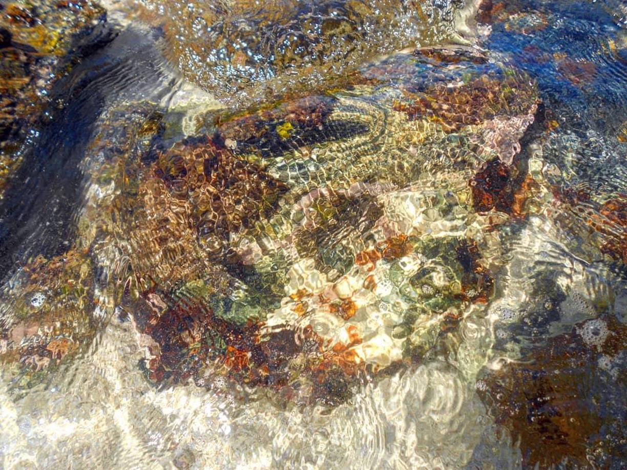 3. Se recomienda visitar Punta Sal en tiempo de verano, ya que las aguas son más tranquilas, transparentes y permiten una mejor visión del arrecife de coral, incluso en la orilla.