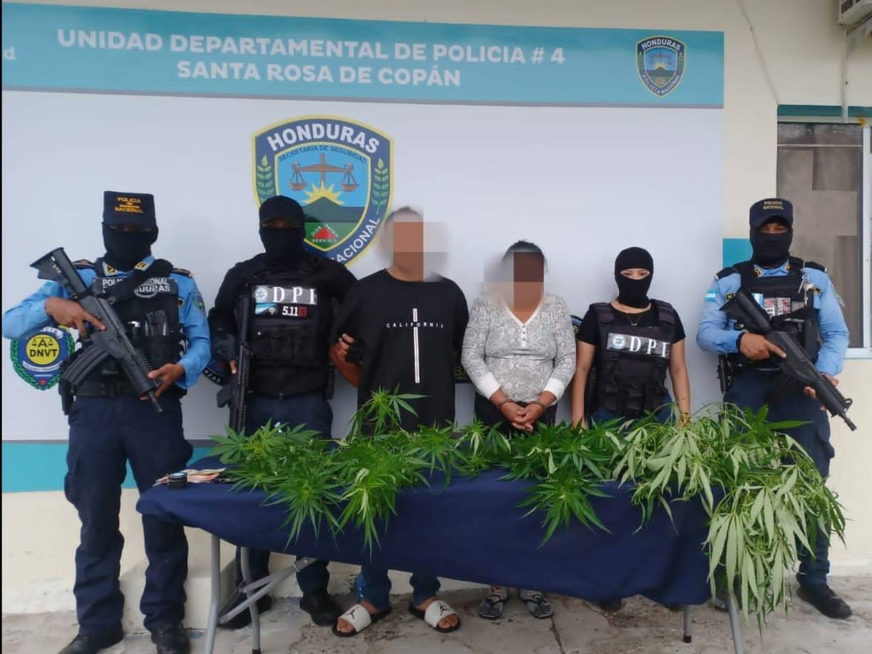 Con base en las pruebas recolectadas, el Ministerio Público autorizó el allanamiento de la vivienda, donde fueron detenidos un hombre de 27 años y una mujer de 44 años, ambos vinculados sentimentalmente. 