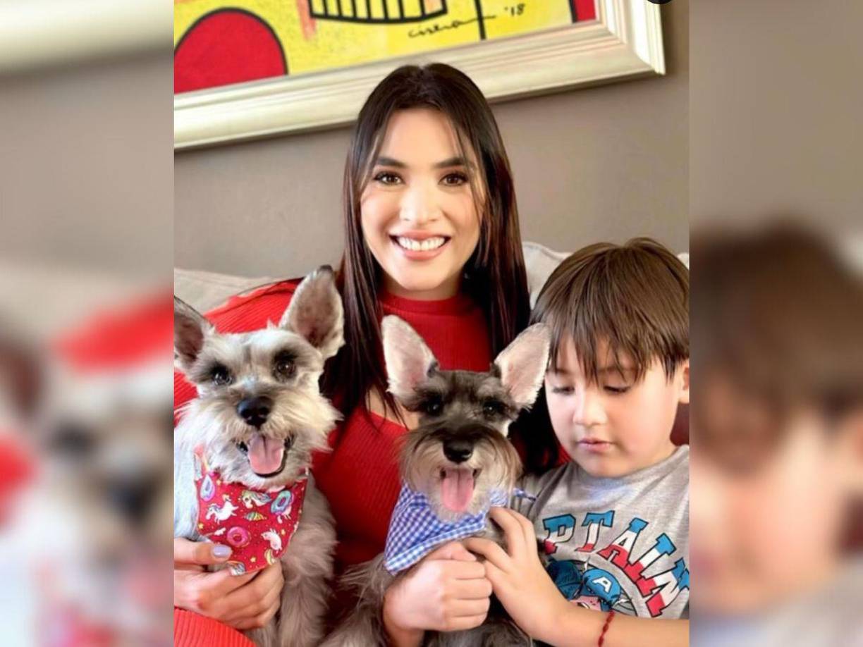 De inmediato sus seguidores enviaron mensajes de apoyo ante la pérdida: “Que triste, sobre todo para el niño. Ellos se identifican más con los niños”, se lee en uno de los comentarios. 