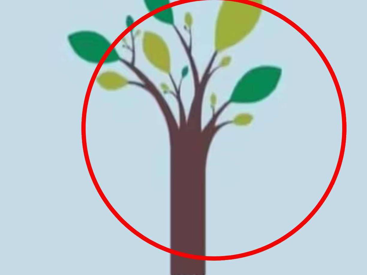 No viste nadaSi no lograste ver ninguna figura en la imagen quiere decir que no eres una persona sociable. 