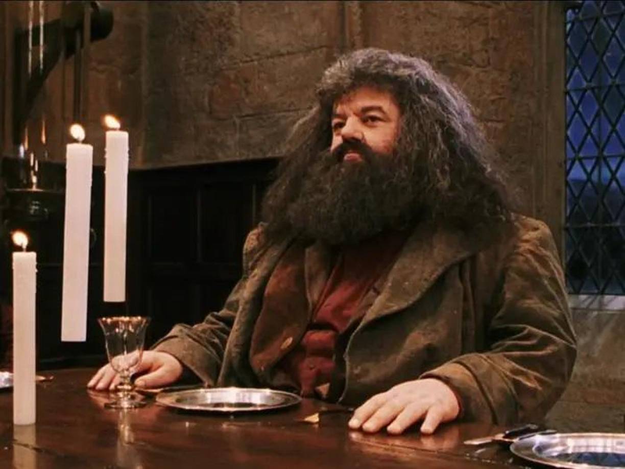 Rubeus Hagrid, el adorable guardabosques semigigante de Hogwarts y profesor de cuidado de criaturas mágicas, fue interpretado por Robbie Coltrane. El actor escocés falleció en octubre de 2022 a la edad de 72 años, y su causa oficial de muerte figura como insuficiencia orgánica múltiple, complicada con sepsis. Según la BBC, Coltrane había estado enfermo durante dos años antes de su muerte.
