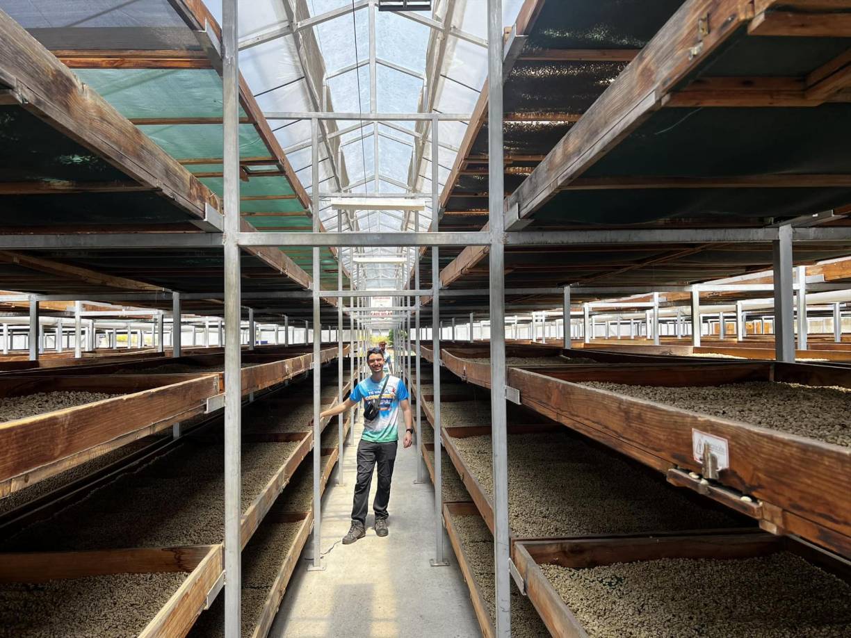 En 2015, el Consejo Hondureño de la Empresa Privada (Cohep) y el Ihcafé, celebraron que Starbucks compró cafés de dicha región por un valor de 100 millones de dólares. 