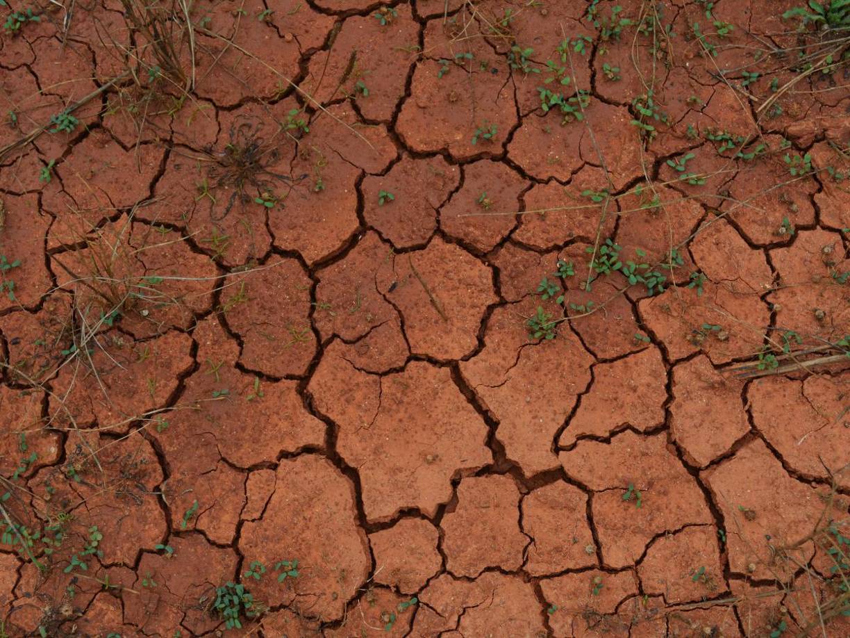 El Departamento de Bomberos de Nueva York (FDNY) ha respondido a 271 incendios forestales entre el 29 de octubre y el 12 de noviembre en toda la ciudad, la cantidad más alta en un período de dos semanas en la historia de la ciudad de Nueva York, según los funcionarios.