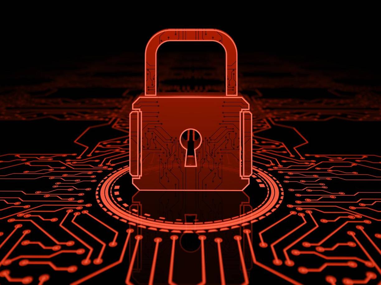 Incluso quedaron sin acceso a redes privadas virtuales (VPN), herramientas comúnmente utilizadas para evadir la censura. 