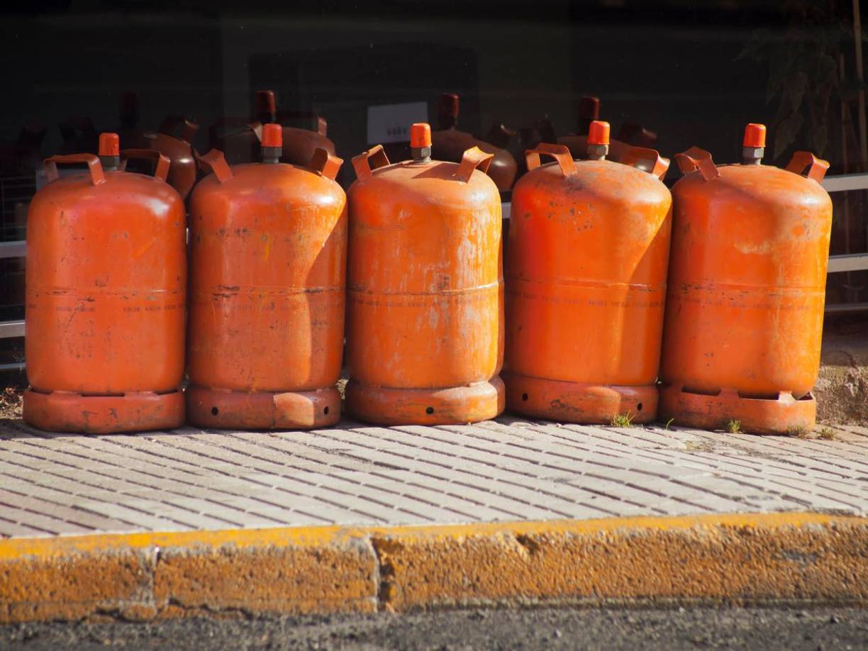 Usuarios de distintas partes del mundo aplaudieron el gesto, calificándolo como un acto de profunda gratitud y un recordatorio del impacto de los sacrificios de los padres en la vida de sus hijos.