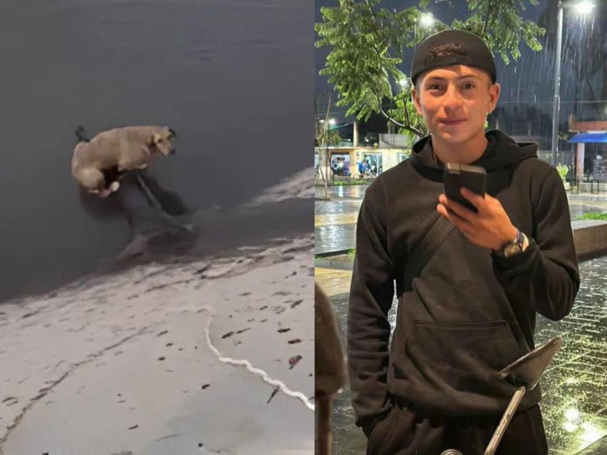 Alejandro Jared Aquino Ochoa, un joven de 18 años, desapareció el pasado miércoles 4 de diciembre tras intentar rescatar a un perrito que cayó en un canal de aguas negras en Paseos del Valle, municipio de Nextlalpan, Estado de México. 