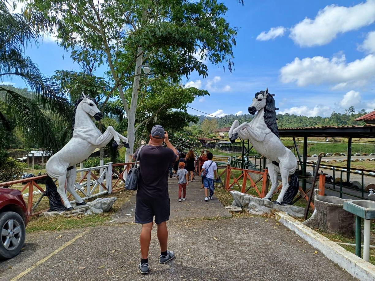 Joya Grande se ubica a 14.7 kilómetros del parque de Santa Cruz de Yojoa y gran parte del camino es de terracería. La vía ha estado recibiendo mantenimiento ante la reapertura de las instalaciones turísticas. 