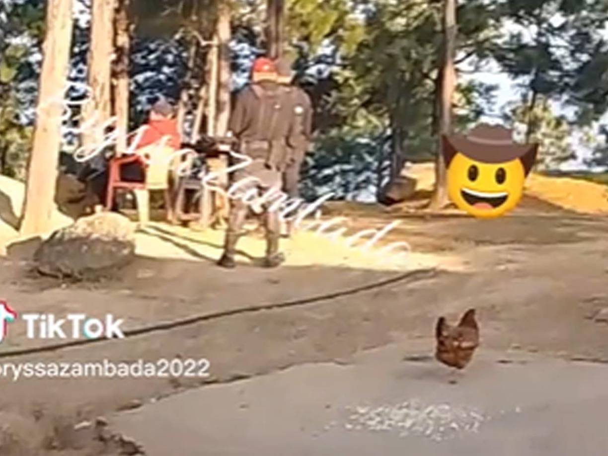 La célula criminal se ha atrevido a desafiar a Nemesio Oseguera Cervantes, <i>El Mencho,</i> con una ofensiva pocas veces vista en la historia del narco.