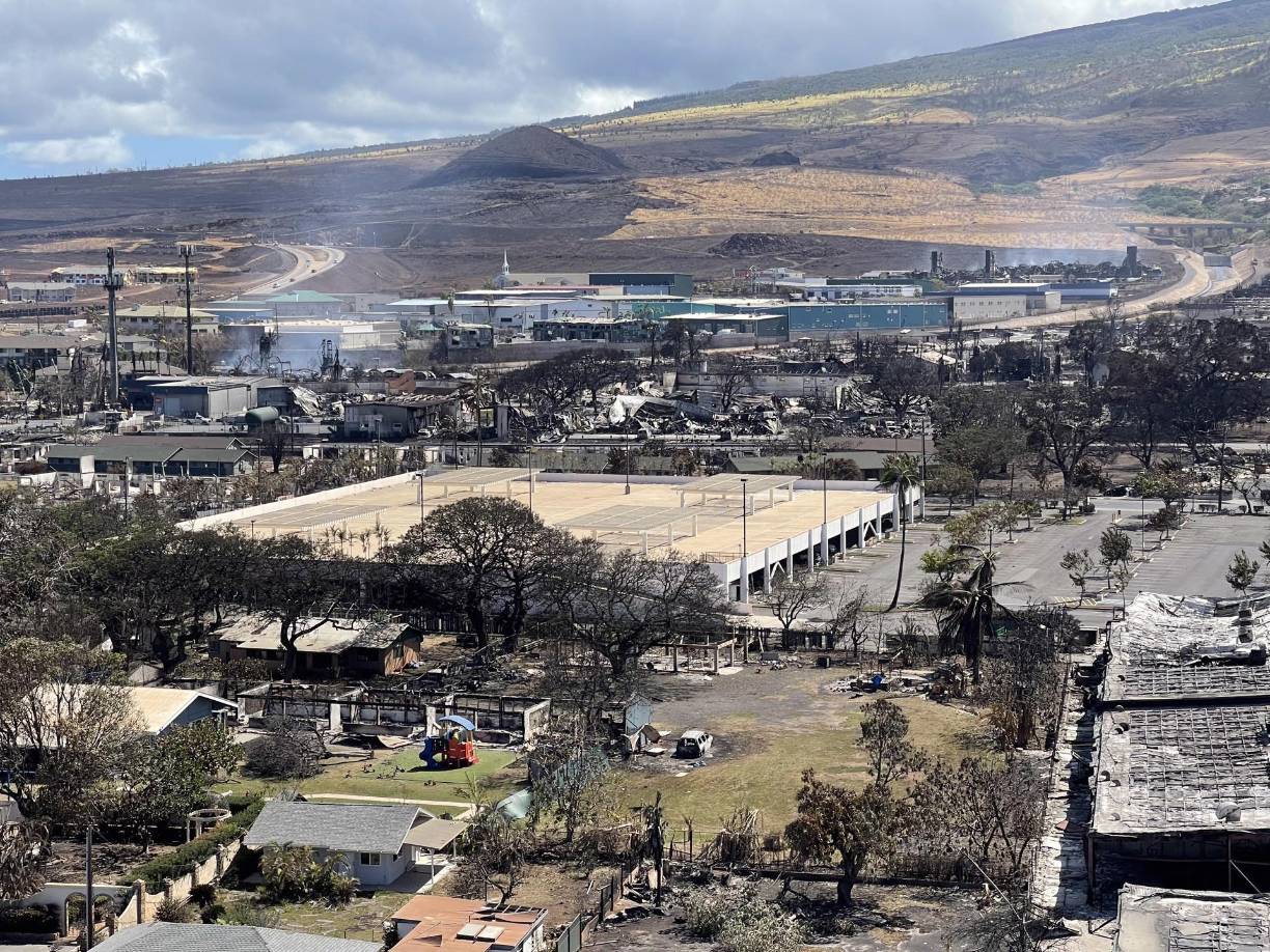 Un equipo de la AFP que recorrió la ciudad el viernes encontró cadáveres ennegrecidos de gatos, pájaros y otros animales atrapados por las llamas que, hasta el momento, dejan 80 personas muertas. 