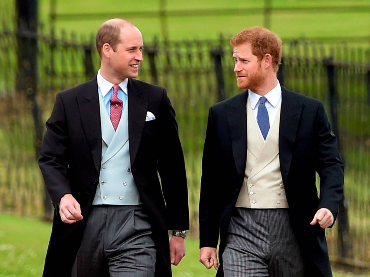 Los príncipes William y Harry se reúnen para inaugurar la estatua la estatua de la princesa Diana 5