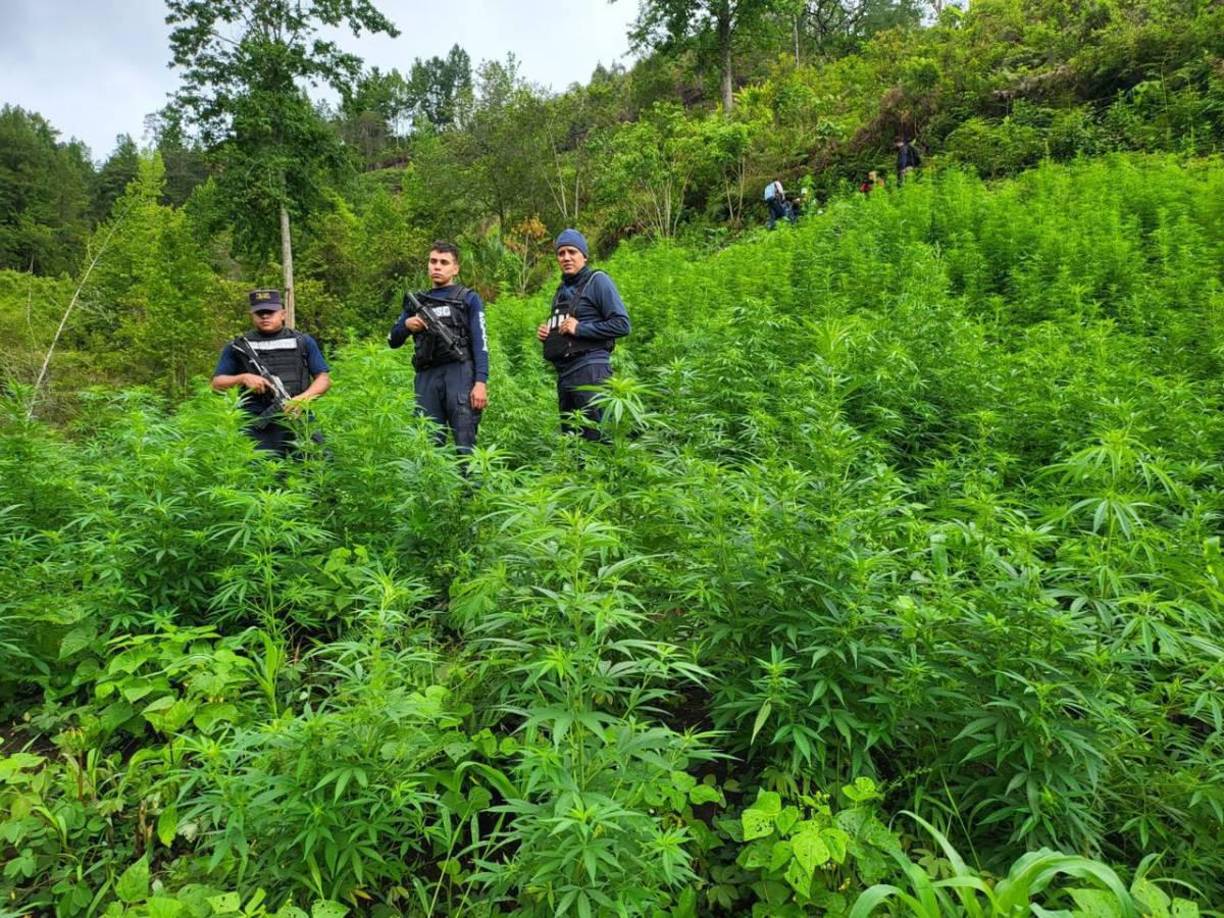 Una vez finalizada la diligencia, Jorge Arturo Argeñal Medina fue puesto a la orden de la Fiscalía de Turno del Ministerio Público para iniciar con el respectivo proceso penal. 