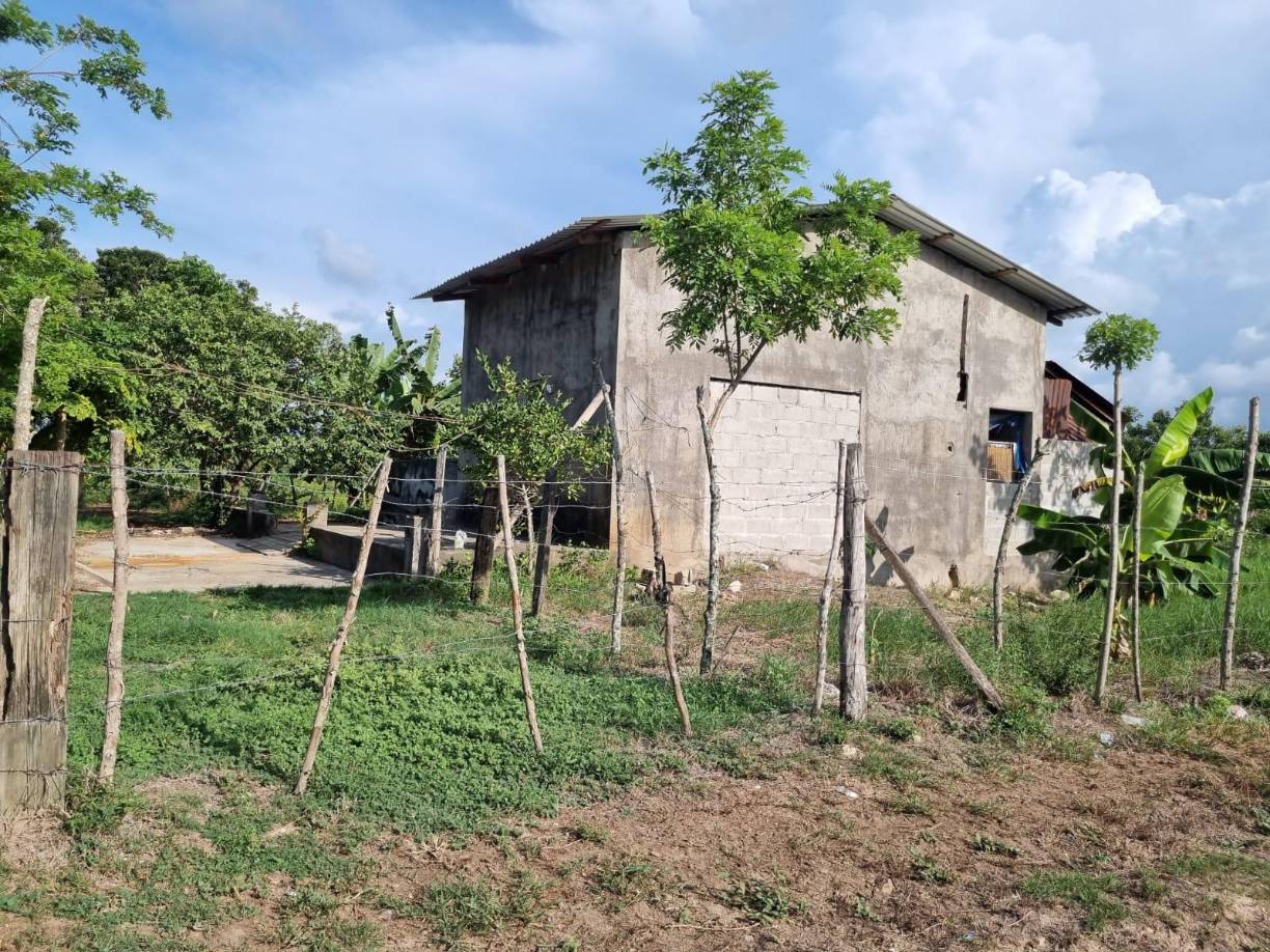 Esparta es una zona ganadera donde también se cultivan granos básicos y palma africana. Las haciendas del Negro Lobo quedaron en ruinas y se perdieron varios empleos al desmantelar todas las unidades de producción. 