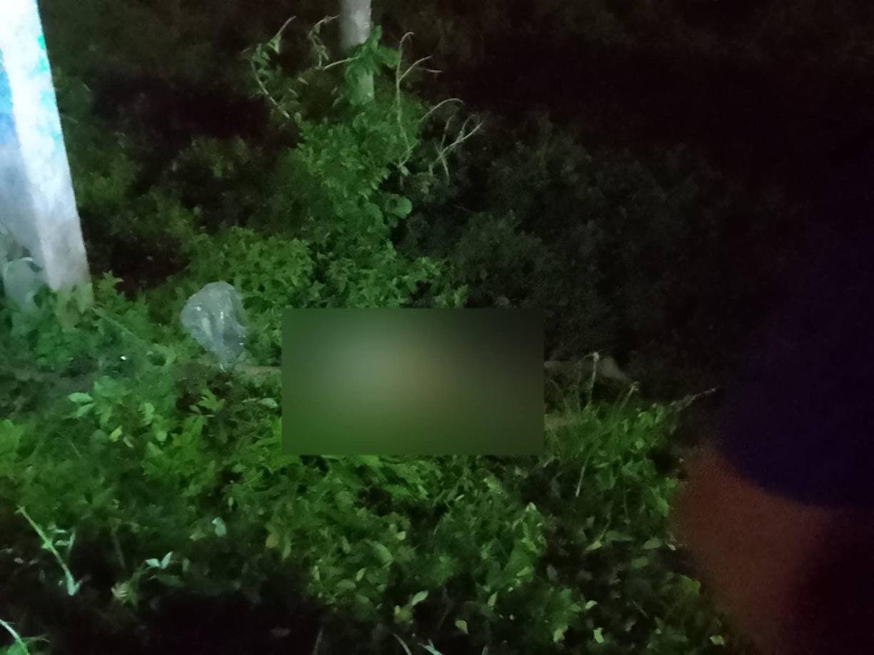 El accidente de tránsito ocurrió en la carretera CA-13, a la altura de la colonia Victoria, cerca de La Ceiba.