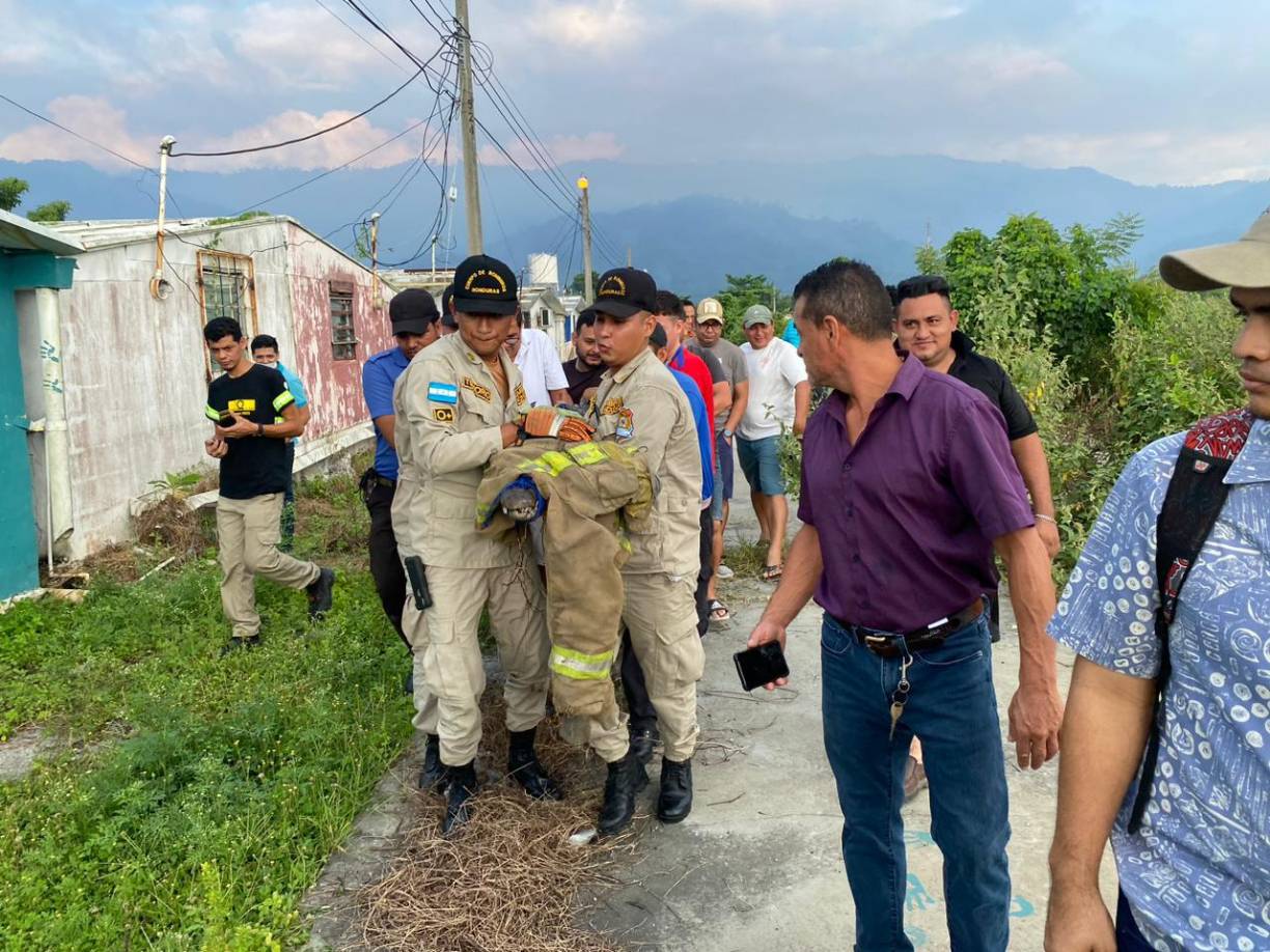 Luego fue puesto en su hábitat.