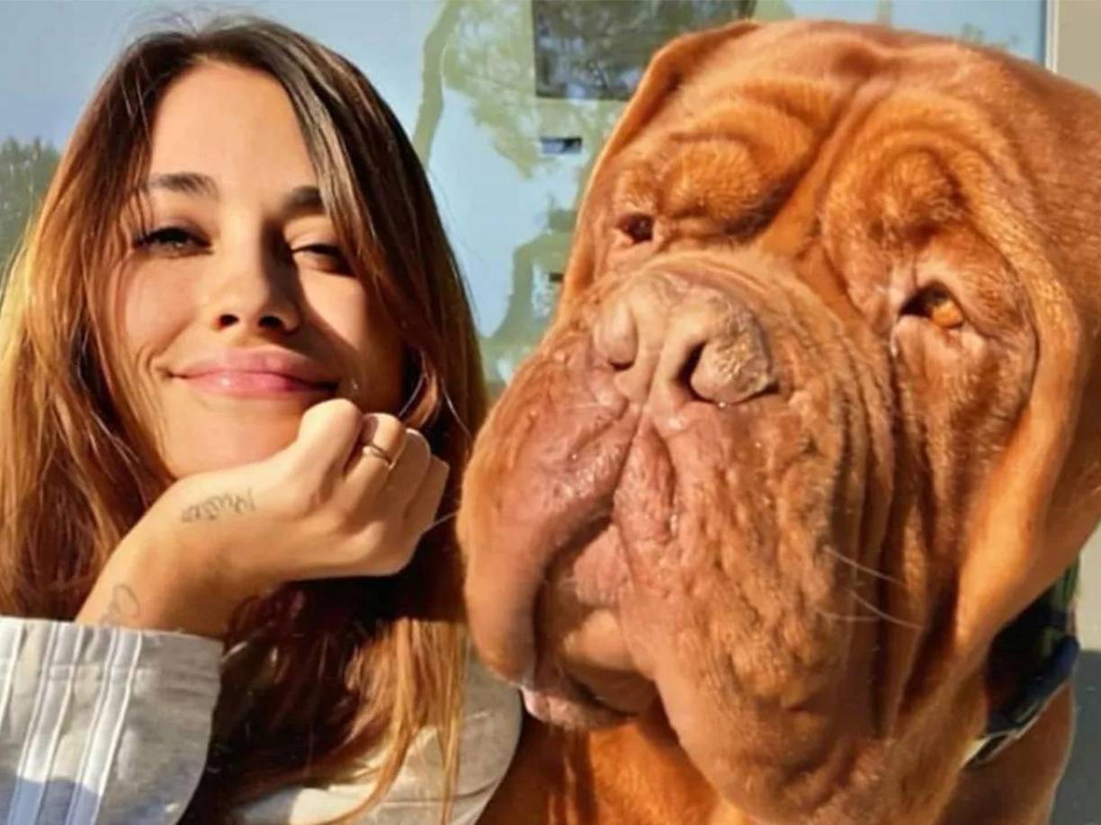 Habían fotos y videos constantemente, incluso hasta con comentarios de los usuarios en relación al tamaño del perro.