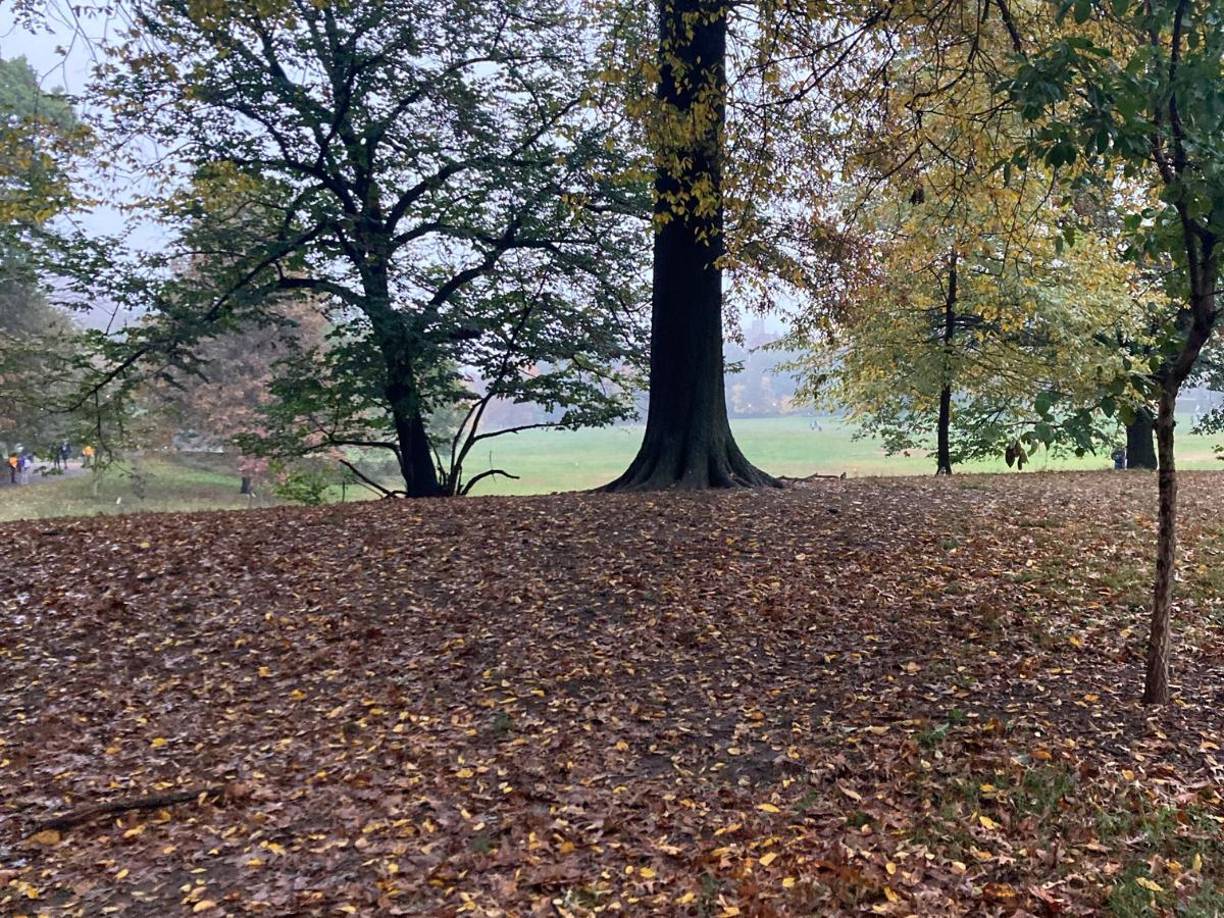 El período más largo de días consecutivos sin lluvia registrado en Central Park es de 36, registrado en el otoño de 1924. Según la Administración Nacional Oceánica y Atmosférica, el país norteamericano tuvo su segundo octubre más cálido desde que se llevan registros. Nueva Jersey y Delaware registraron su octubre más caluroso.