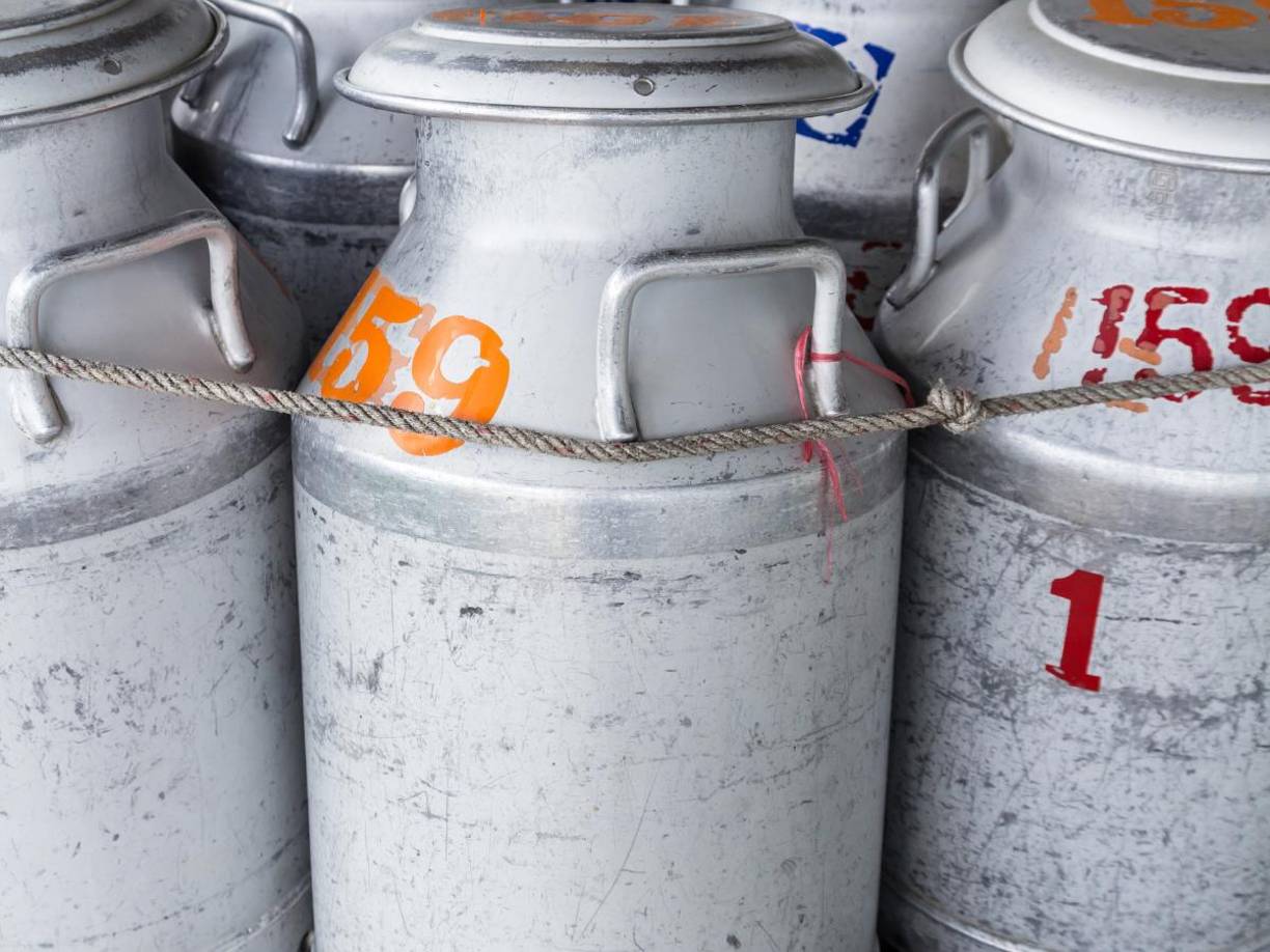 Raw Farm, el mayor productor y minorista de leche cruda en California, ha realizado muestras a sus productos lácteos como control después que se detectara la gripe aviar en vacas en varias granjas del país.