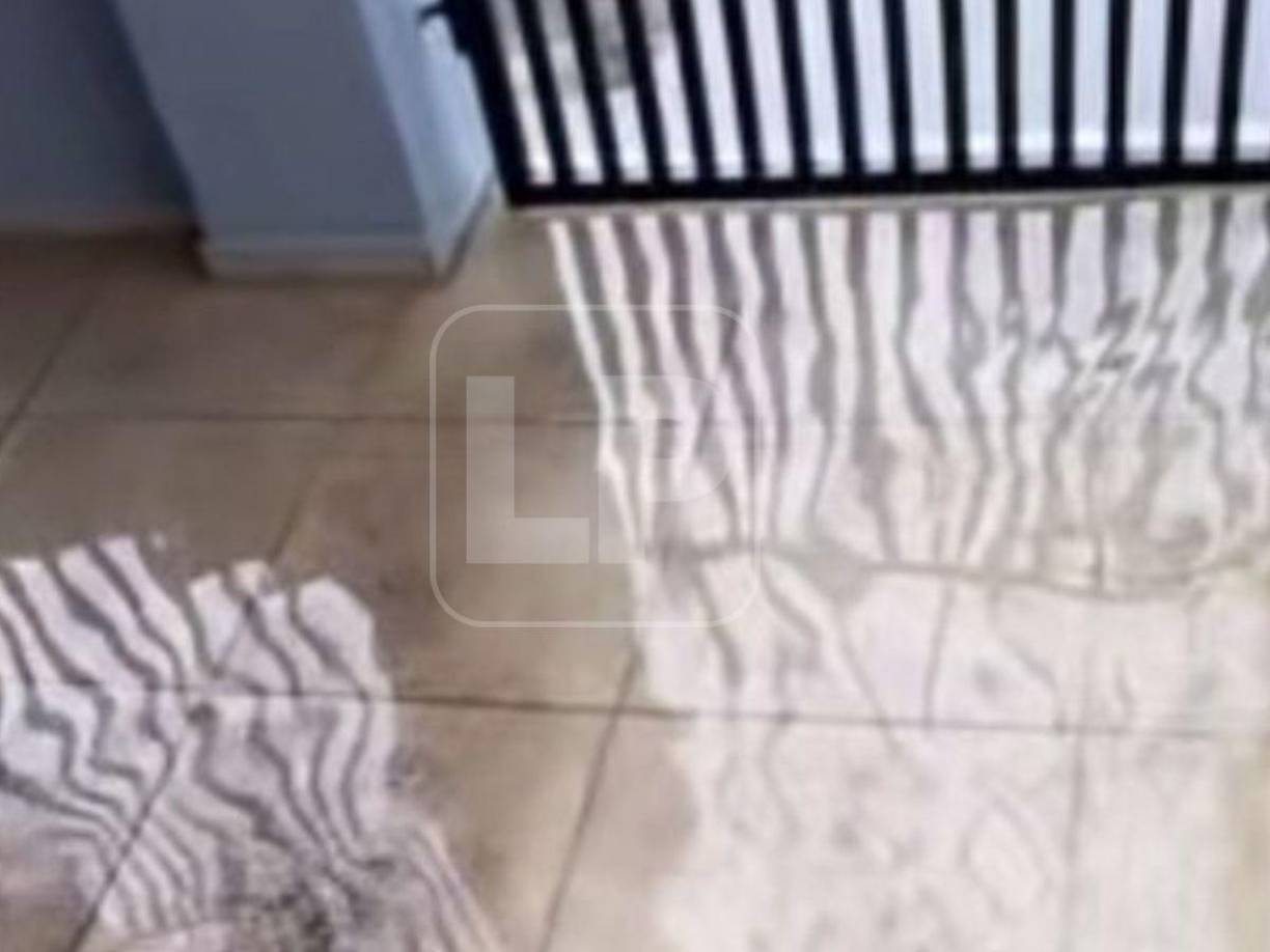 ”Muchachos me estoy inundando que puedo hacer”, preguntó el joven a sus seguidores quien estaban presenciando las imágenes de las inundaciones.