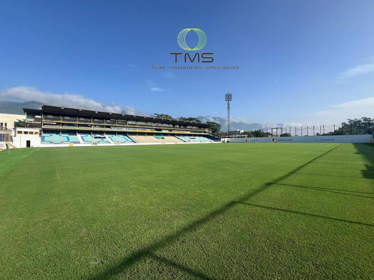Así luce actualmente la grama del estadio Morazán de San Pedro Sula. Sin duda, como una mesa de billar para dar un verdadero espectáculo.