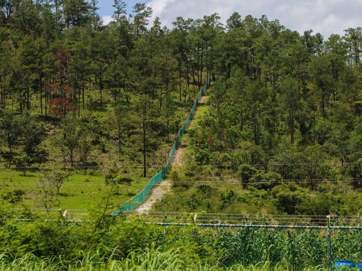 En el perímetro del centro penal, las autoridades cuentan con un área donde los privados de libertad de la tercera edad pueden realizar sus propios cultivos. 