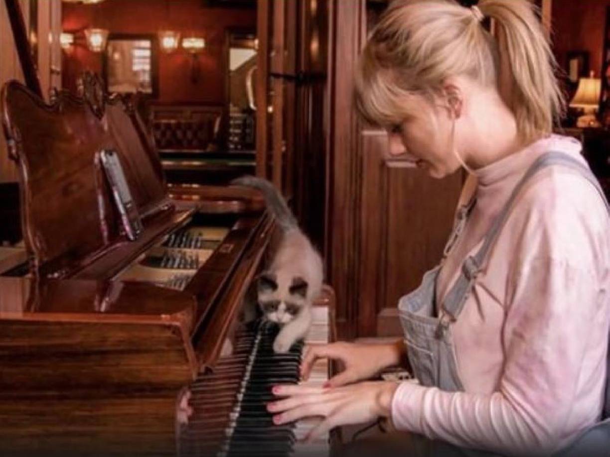 La cantante estadounidense, toca cuatro instrumentos musicales como: guitarra, banjo, ukelele y piano.