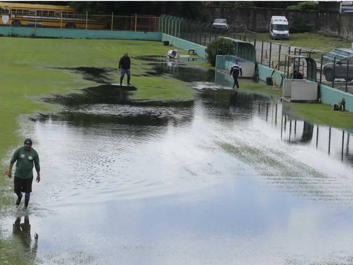 La zona notablemente más afectada de la cancha se encuentra frente a los dugouts de los dos equipos y las autoridades se enfocan en erradicar el problema.