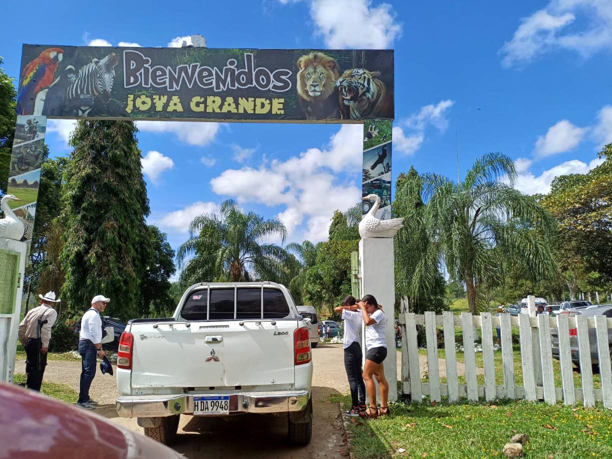 Marco Antonio Zelaya, director ejecutivo de la Oficina Administradora de Bienes Incautados (Oabi), compartió en redes sociales un mensaje para invitar a la población a ser parte de lo que definió como “momento histórico en nuestro país”. “Existe un antes y un después. Hemos fundamentado básicamente en tres pilares la reapertura del zoológico Joya Grande: la reestructuración, la educación y la proyección que vamos a tener de las personas, de los niños, de los adolescentes y de los jóvenes que crucen ese portón al zoológico Joya Grande, y una vez que tengan esa experiencia puedan compartirlo con sus familiares y decir que sí valió la pena la espera”.