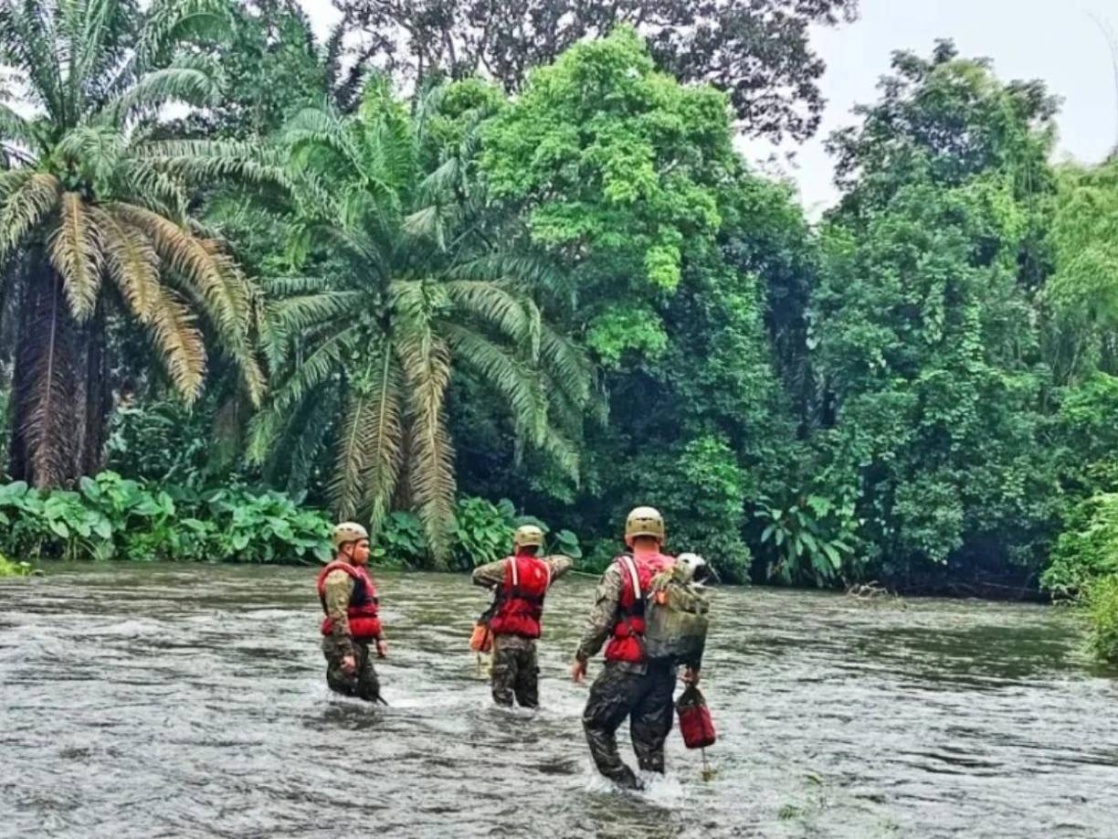 La Tormenta Tropical Sara, actualmente una depresión tropical, amenaza con causar estragos en Centroamérica y otras regiones del Caribe. 