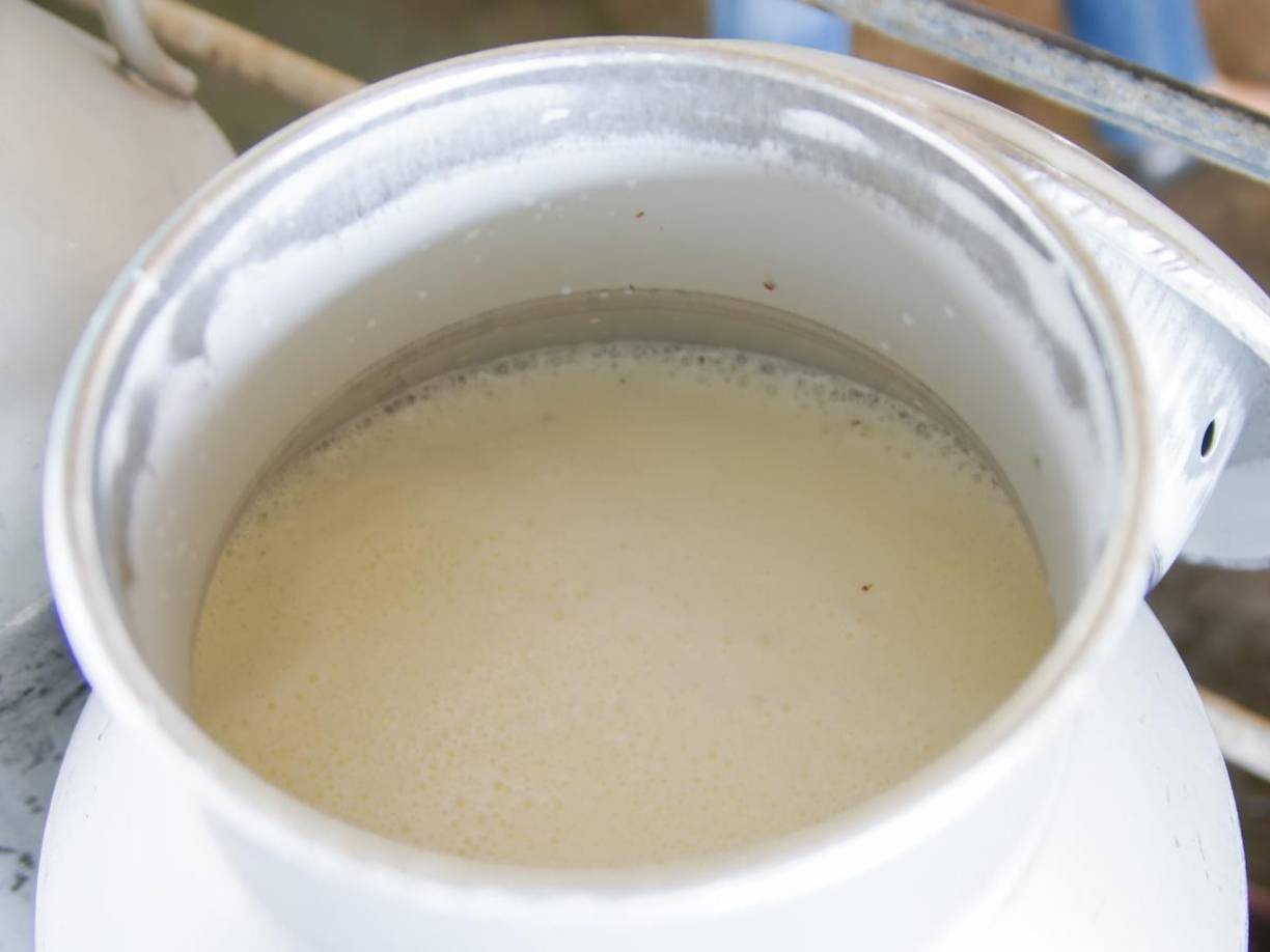 “El rastreo de contactos continúa, pero actualmente no hay evidencia de propagación de persona a persona de la gripe aviar H5N1 de este niño a otros”, indicó CDC en un comunicado.