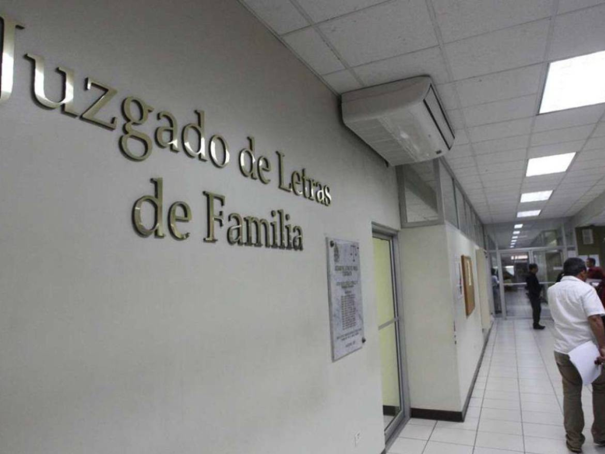 Lo que se puede es interponer una Demanda de Suspensión de Patria Potestad en los Juzgados de Letras de Familia.