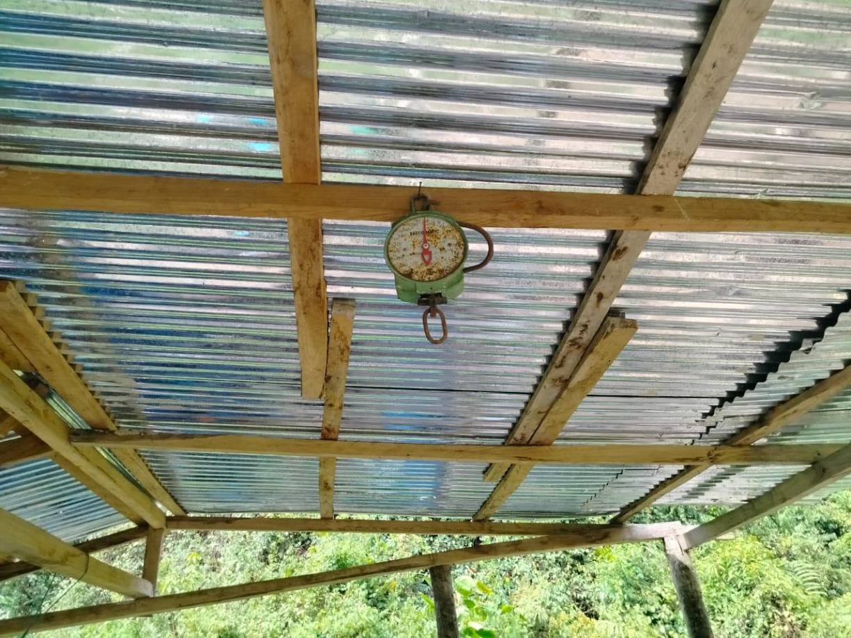 La báscula que era utilizada para pesar la droga una vez procesada. 