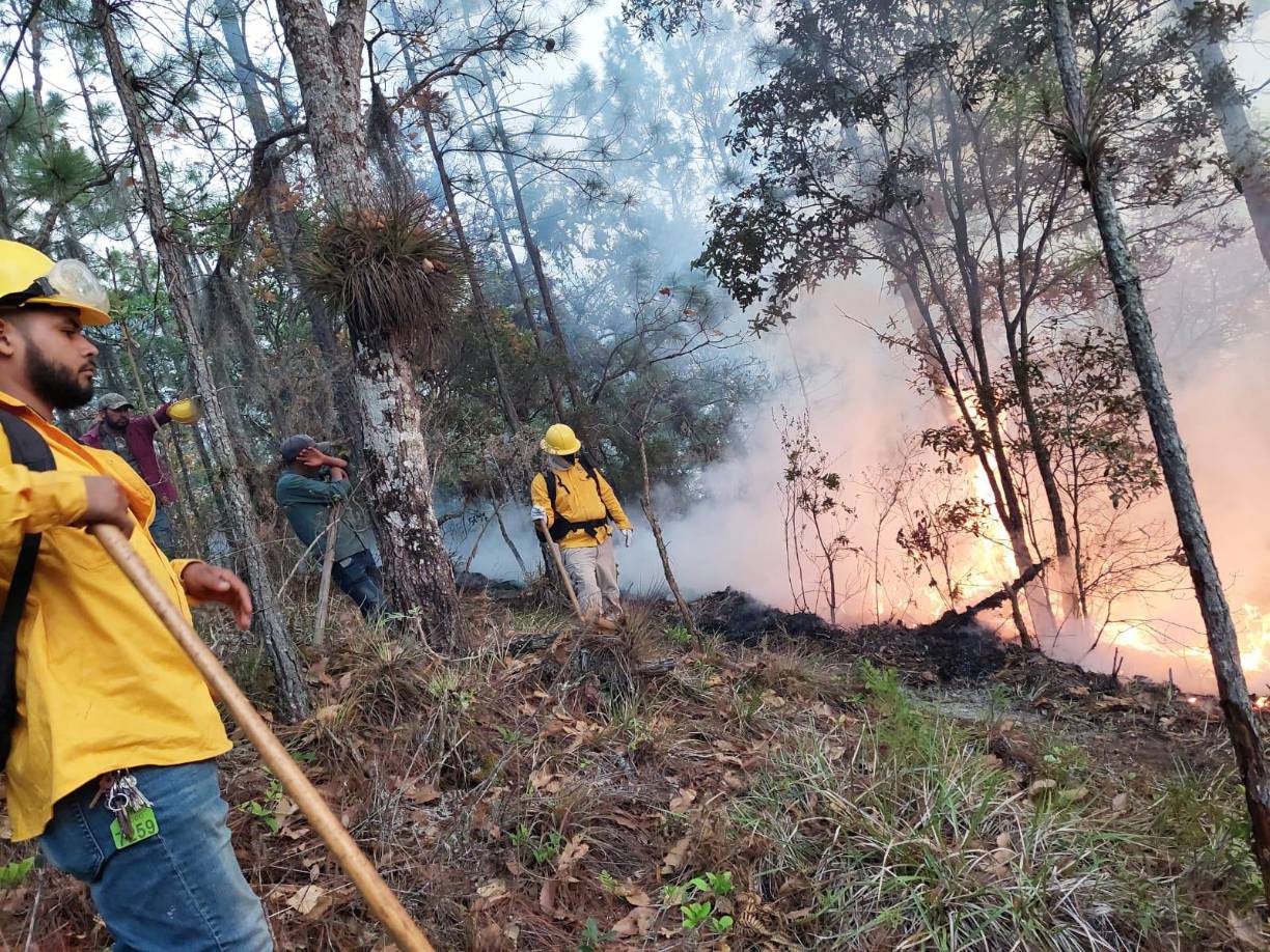 Personas de las comunidades de San Antonio, Naranjito, Guacutao, La Meande, Santa teresa, Torola, y San Manuel Centro, apoyados por personal de ICF, Proyecto Padre Tamayo, MAPANCE, PNGH, Servicio Forestal de US, 17 Batallón, Bomberos, Fund. Puca, Municipalidad de San Manuel, comedores, restaurantes y fuerzas vivas de este municipio se han sumado a las acciones de combate contra las llamas. 