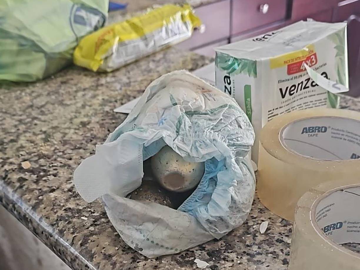 Uno de los artefactos explosivos que encontraron los equipos especiales de la Policía.